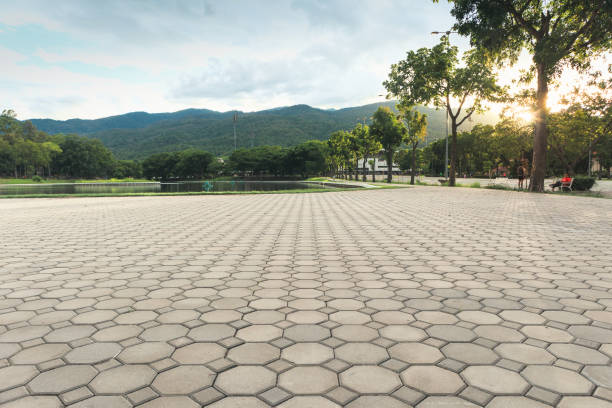 Best Driveway Paving Contractor  in Sun City Center, FL